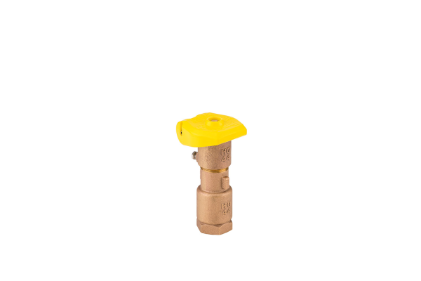 HQ-44-RC 1" İç dişli Inlet NPT , 1 tane yiv, 2 gövde, sarı kapak