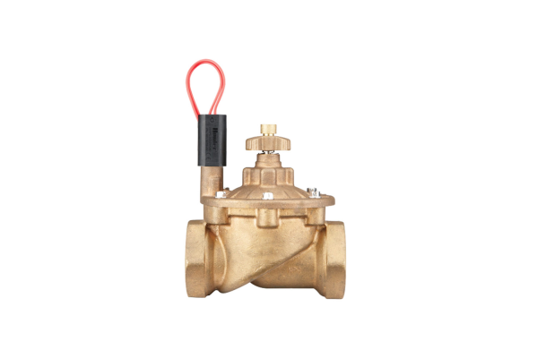 IBV-201G-B-FS 2" BSP PİRİNÇ Glob, Debi Kontrollü, İç Dişli, FİLTRELİ, Solenoid Vana