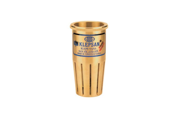 Klepsan Brass Check Valve Full Bore 1 Inch