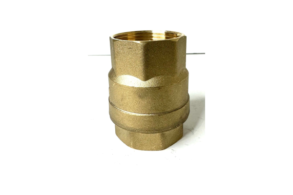 Klepsan Spring Vertical Check Valve Dış Dişli 1 1/2 Inch