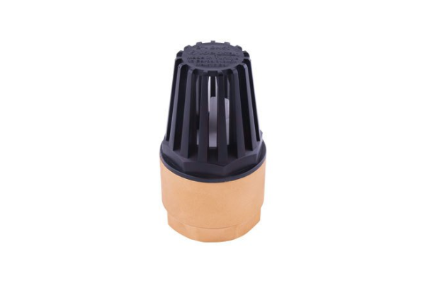 Klepsan Spring Foot Valve Full Bore 1 1/4”