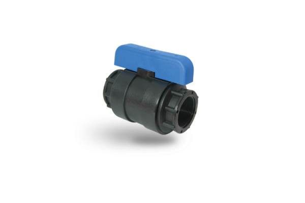 Blue Series Ballsel Vana Female - Female